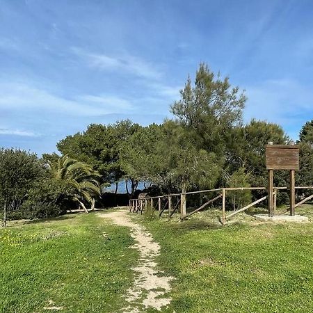 Appartamento La Tramontana Porto Torres Dış mekan fotoğraf